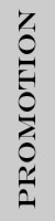 david pascal: web design services